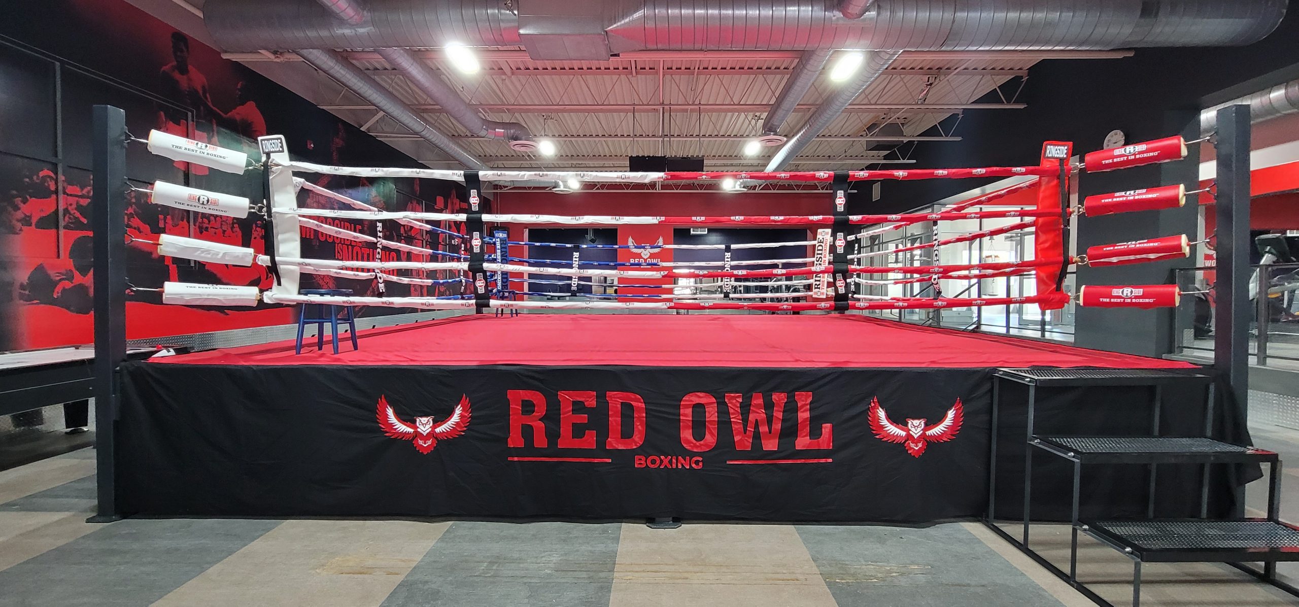 DAZN & Red Owl Boxing Present 'Box Fest' starting December 1