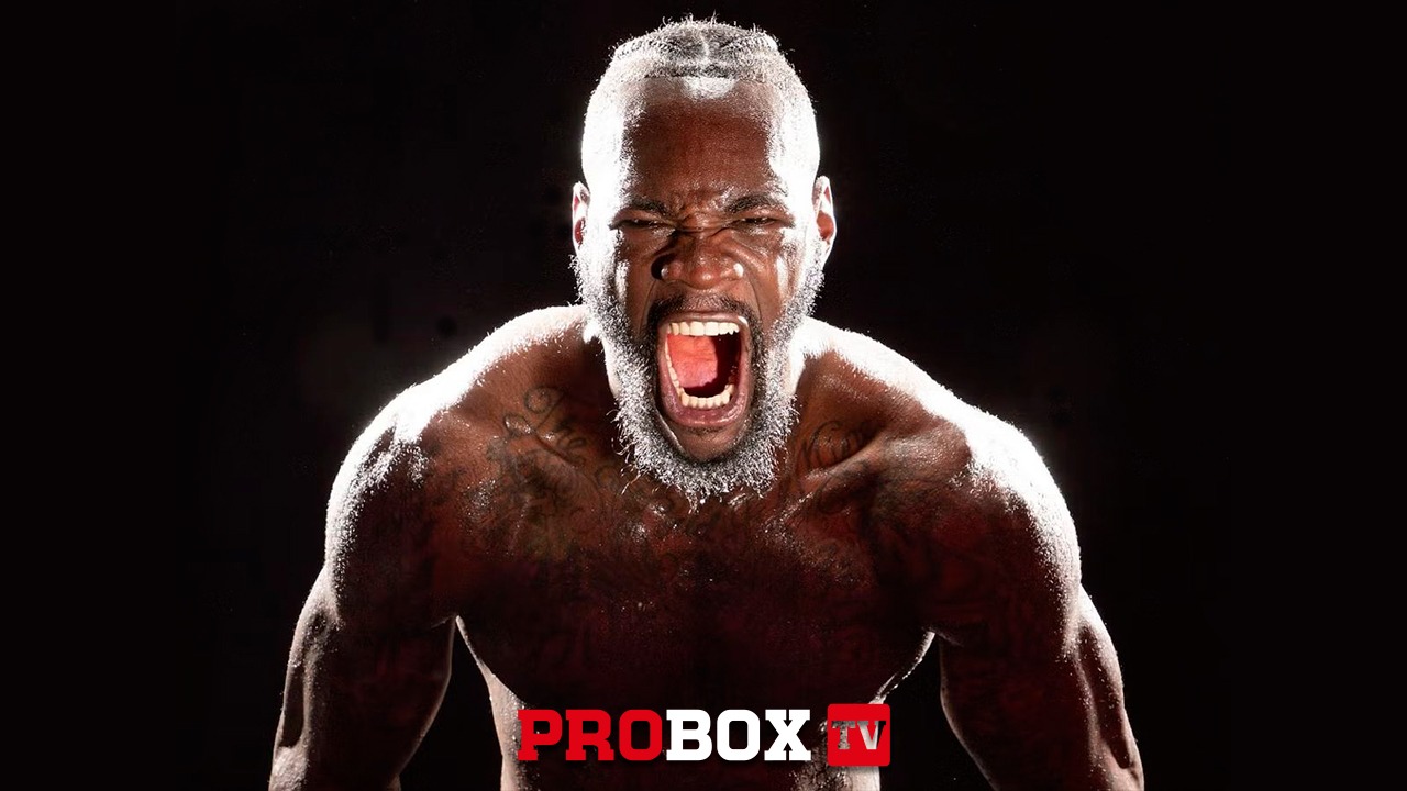Deontay Wilder back in the gym, is Anthony Joshua next?