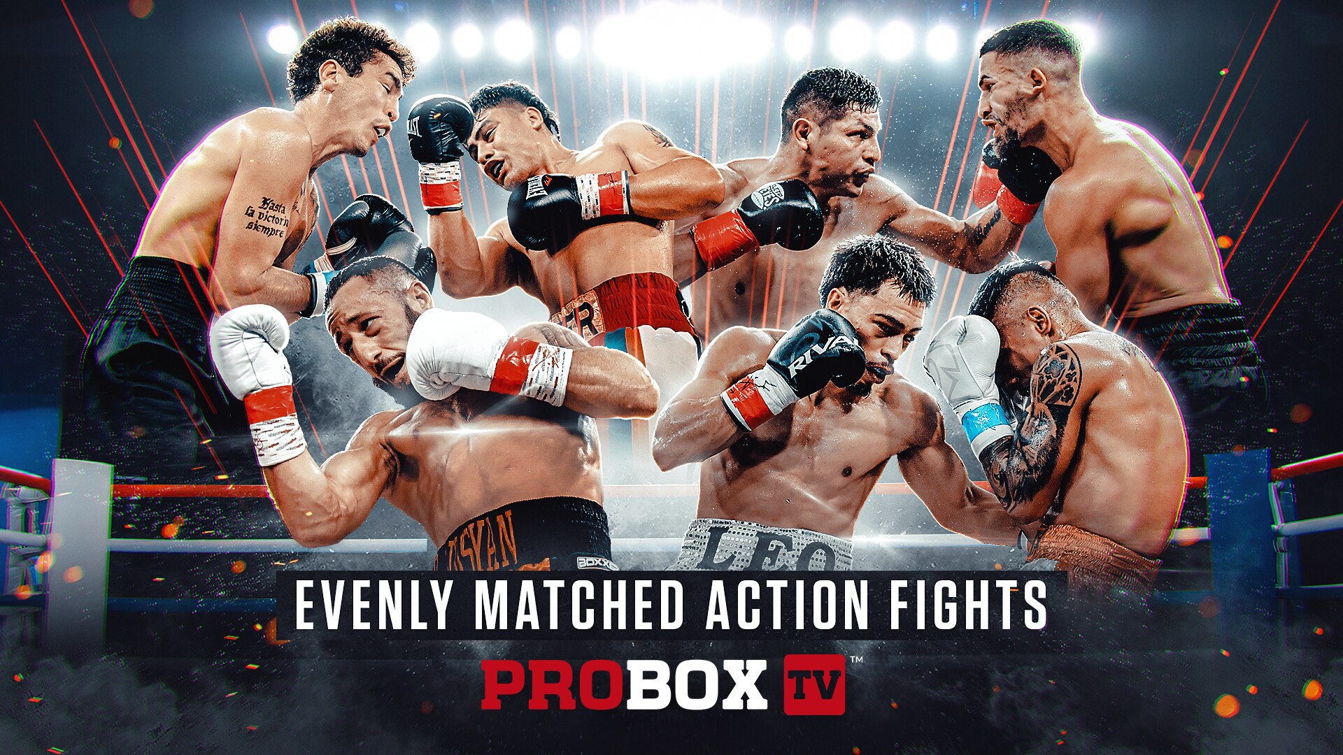 ProBox TV Fights